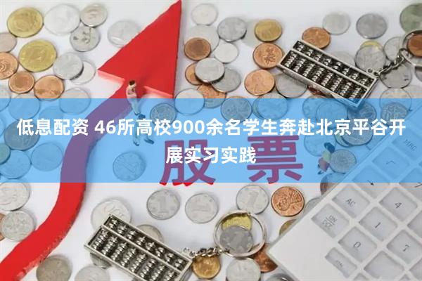低息配资 46所高校900余名学生奔赴北京平谷开展实习实践