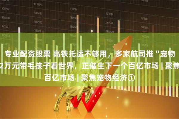 专业配资股票 高铁托运不够用，多家航司推“宠物进客舱” 花2万元带毛孩子看世界，正催生下一个百亿市场 | 聚焦宠物经济①