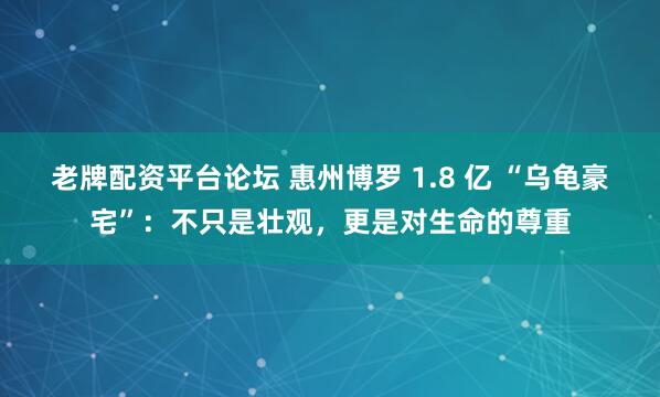 老牌配资平台论坛 惠州博罗 1.8 亿 “乌龟豪宅”：不只是壮观，更是对生命的尊重