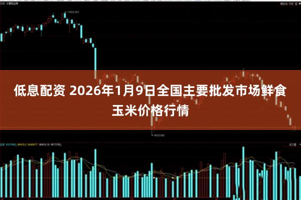 低息配资 2026年1月9日全国主要批发市场鲜食玉米价格行情